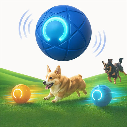 ZoomieBall