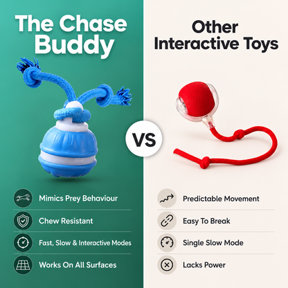 The Chase Buddy